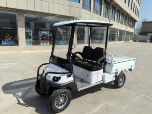 Гольфкар GreenCamel Сонора A2C New (2+Cargo 2500W 130/90-10' литые) пониженная