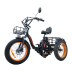 Электровелосипед Kugoo Trike 