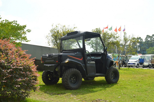 Багги LT604F2